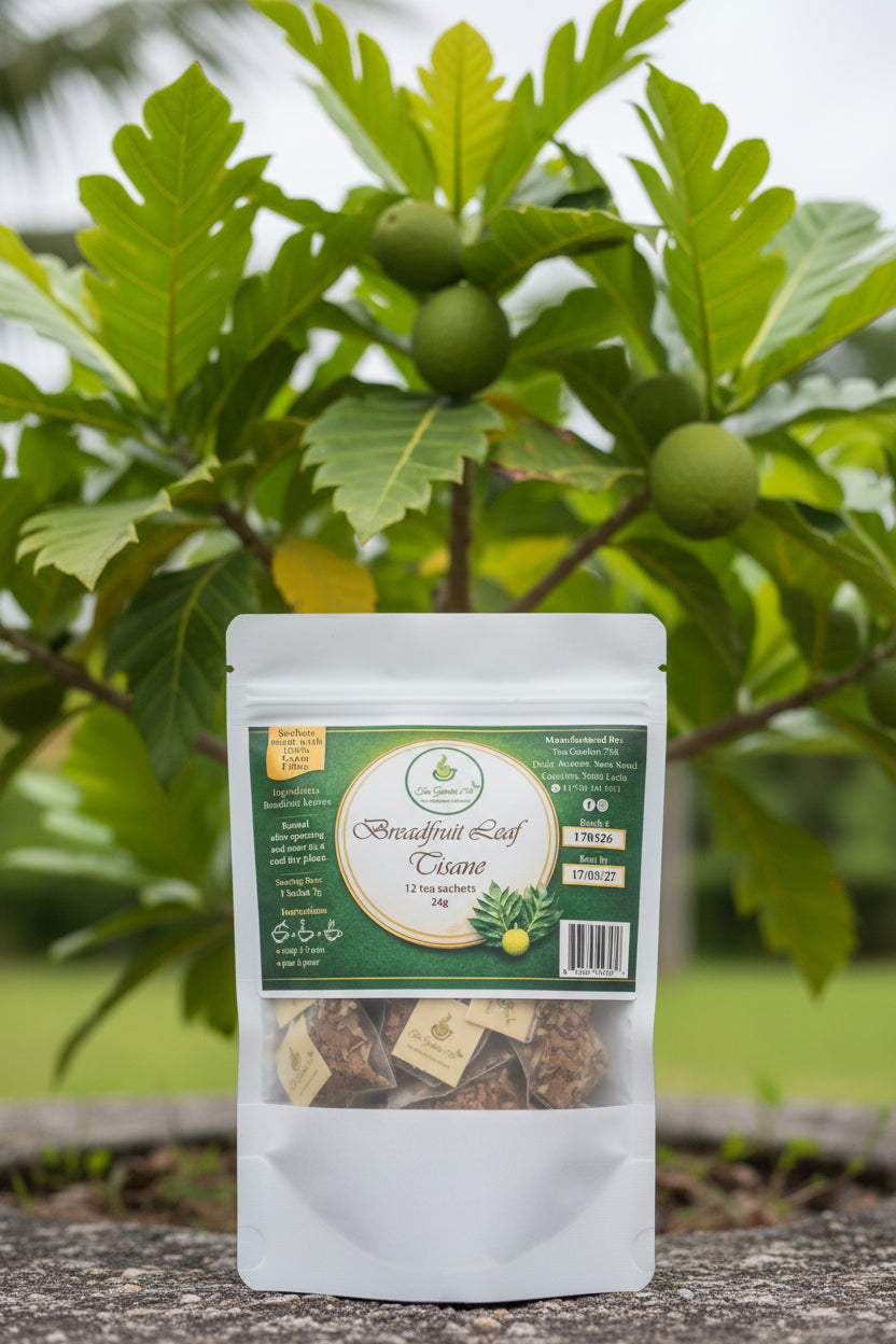 Breadfruit leaf tisane packaging with green label and tea bags inside