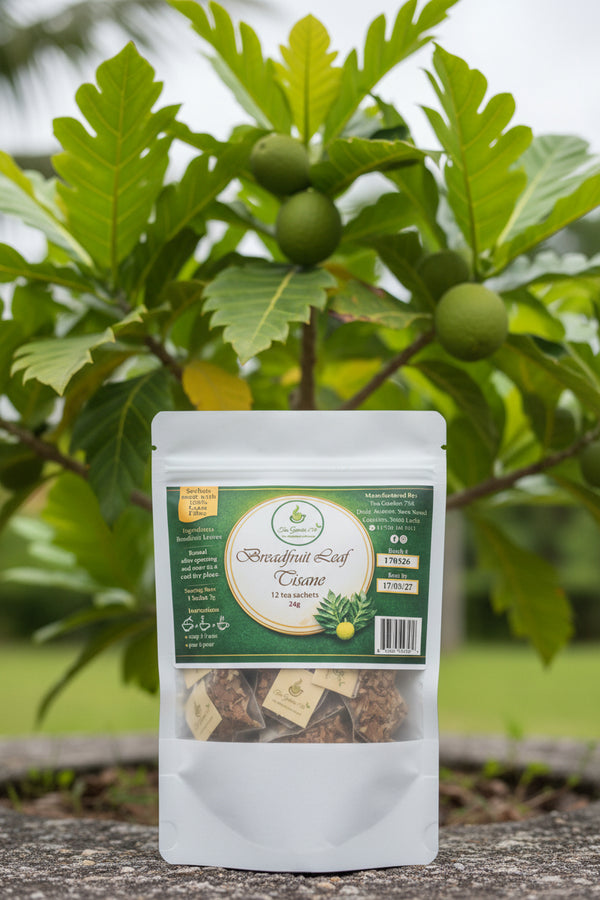 Breadfruit leaf tisane packaging with green label and tea bags inside