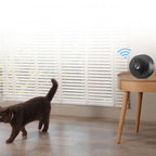 Full HD Mini Wi-Fi Motion Sensor Security Camera - Kart It Up   - Full HD Mini Wi-Fi Motion Sensor Security Camera - Kart It Up   - Full HD Mini Wi-Fi Motion Sensor Security Camera - Kart It Up   - Full HD Mini Wi-Fi Motion Sensor Security Camera - Kart It Up   - Full HD Mini Wi-Fi Motion Sensor Security Camera - Kart It Up  - Full HD Mini Wi-Fi Motion Sensor Security Camera - Kart It Up  -  -  