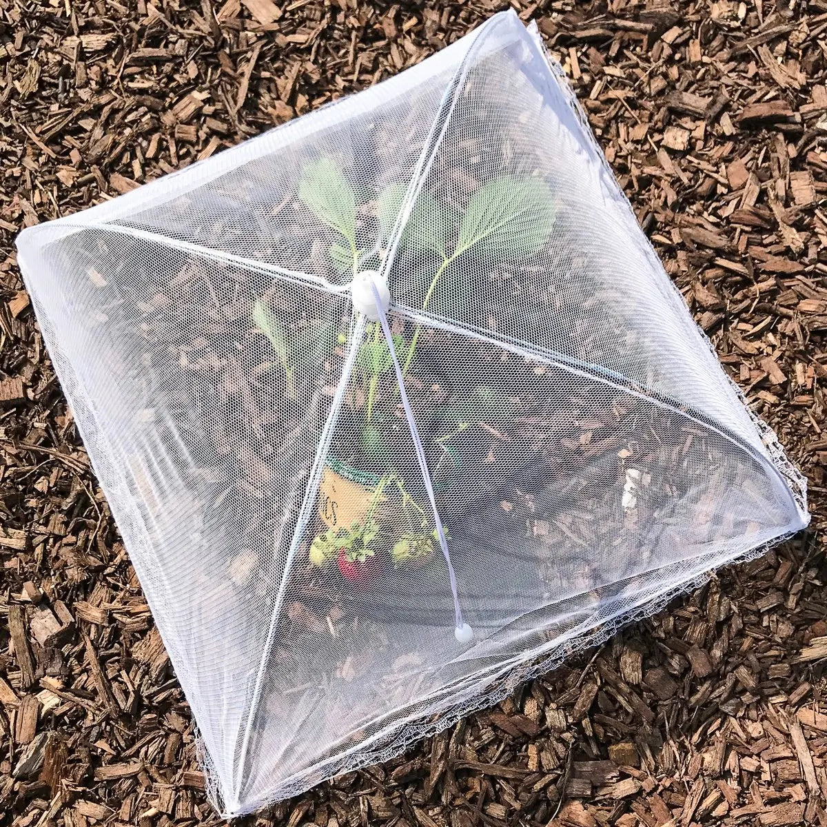 Pop-Up Mesh Food Covers - Fly Net for Picnics, 17", Pack of 3/6/12