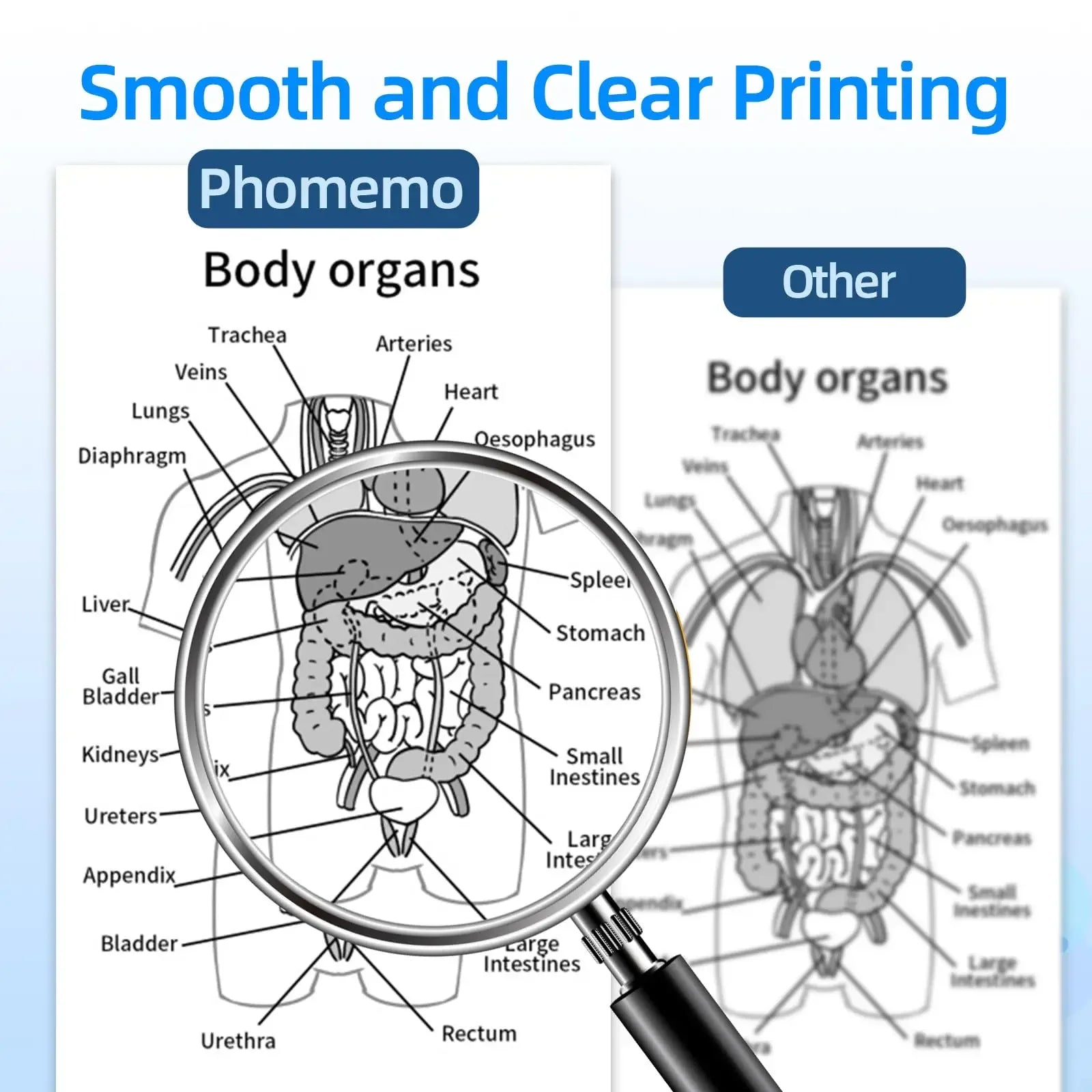 Phomemo A4 Thermal Paper Quick-Dry Continuous Printer Roll