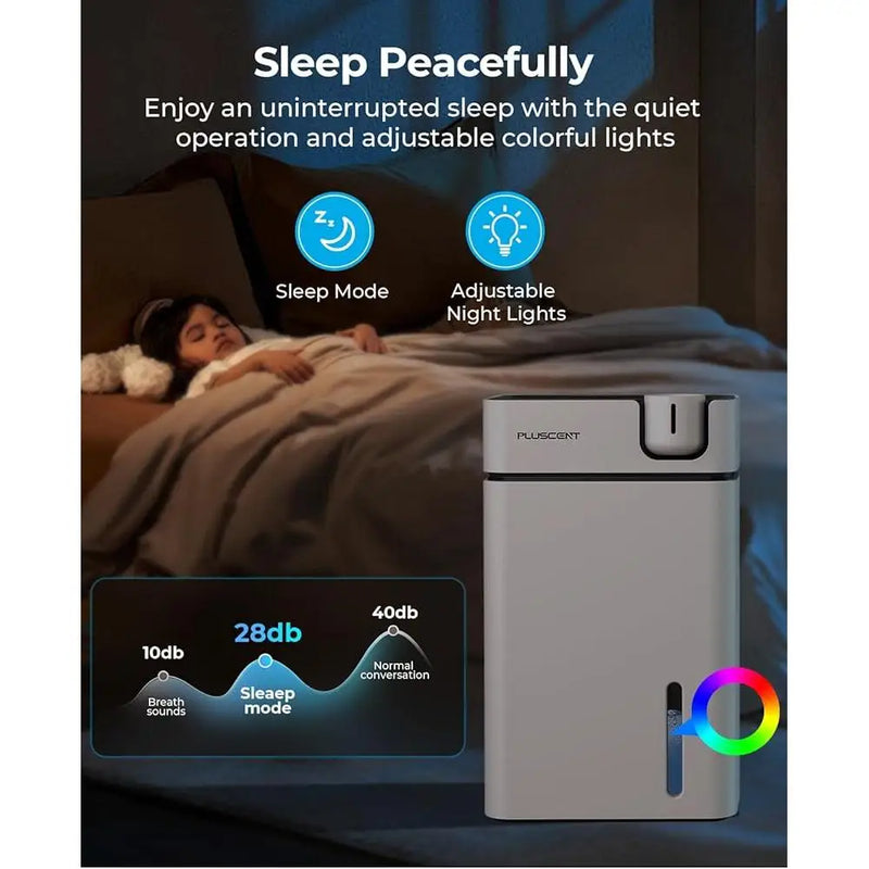 Portable Dehumidifier