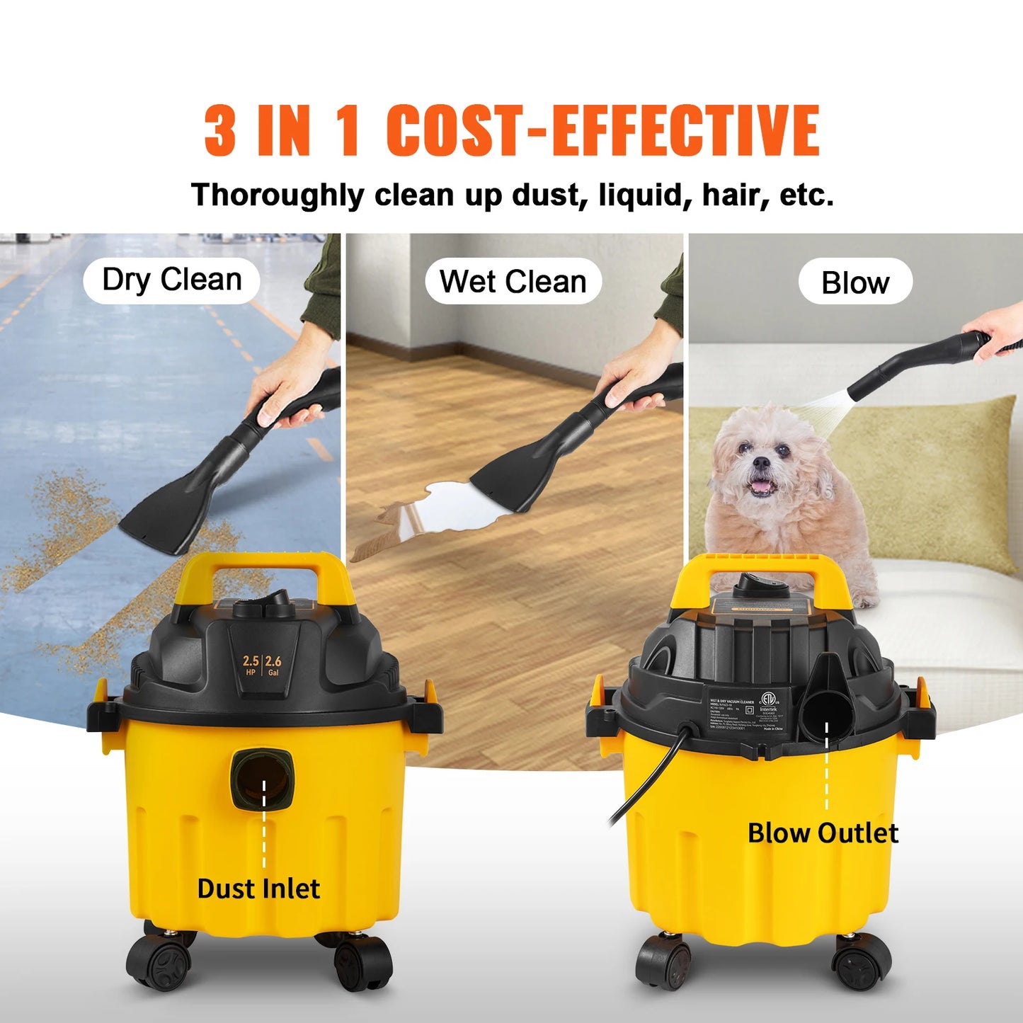 Wet and Dry Vacuum