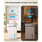 Portable Dehumidifier