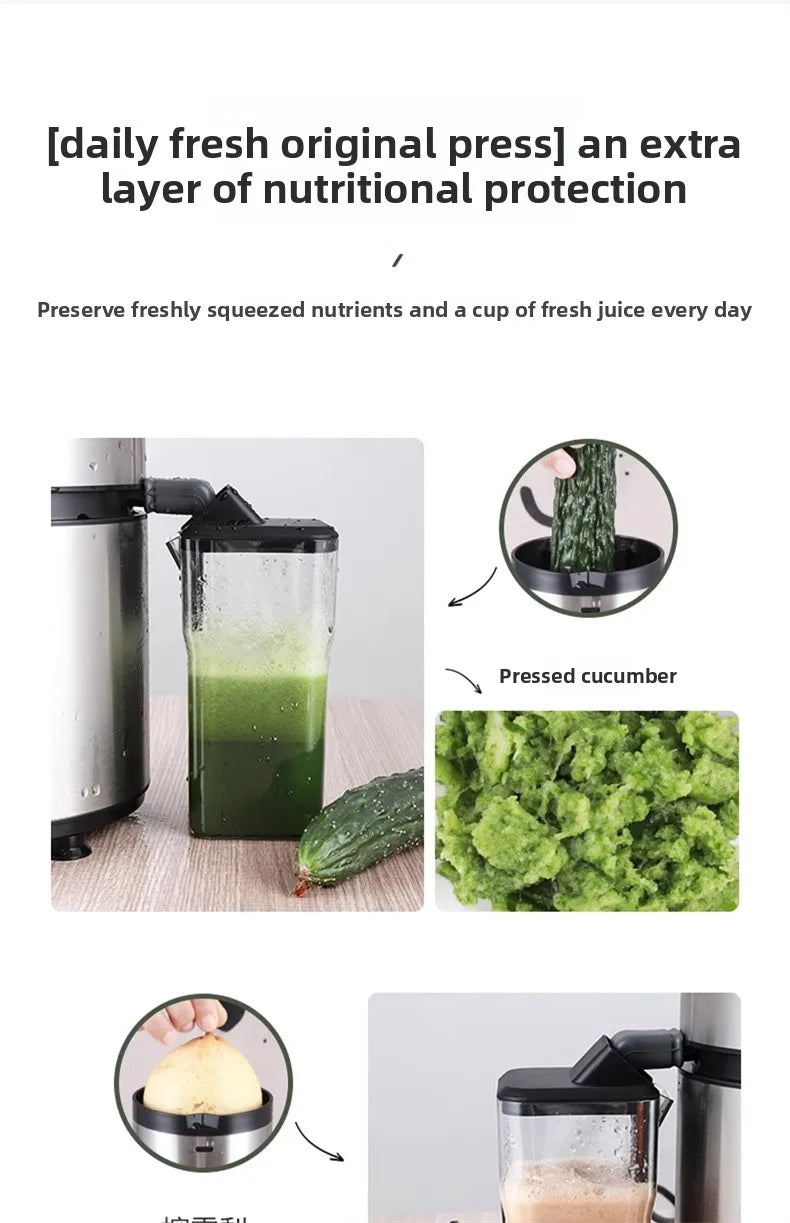 1250W High-Speed Juicer Blender — BPA-Free Stainless Steel, Quiet