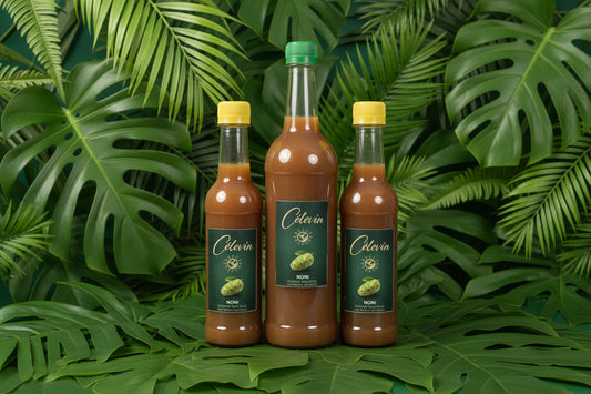Foodscapades by Tafari - Noni Wine